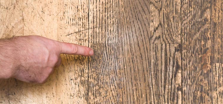 Wood Door Scratch Repair in Ladera Ranch